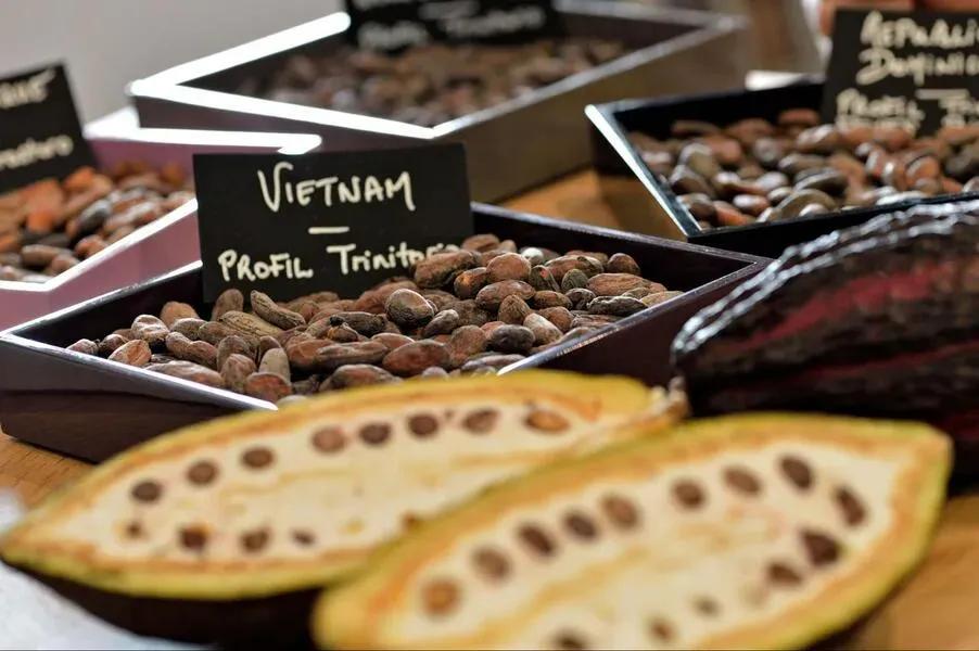 Refining Dessert with Delicate Layers｜A Comprehensive Guide to Choosing and Applying French Chocolate Brands